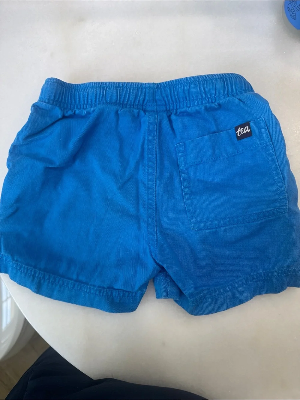 Tea Collection Cobalt Blue Elastic-Waist Play Shorts